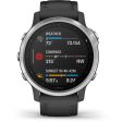 Relógio Desporto Garmin Fénix 6S 42mm - Prateado | Preto Online now