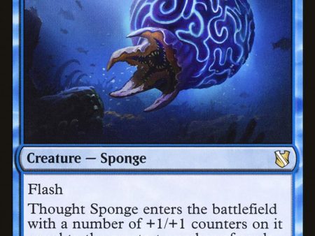 Thought Sponge [Commander 2019] For Cheap