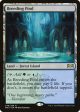 Breeding Pool (Promo Pack) [Ravnica Allegiance Promos] Fashion