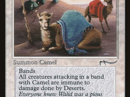 Camel [Arabian Nights] Supply