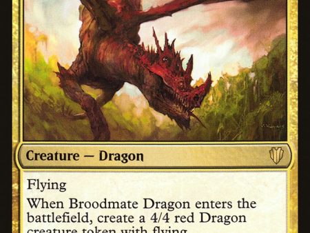 Broodmate Dragon [Commander 2017] Online Hot Sale