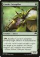 Caustic Caterpillar [Magic Origins] Online