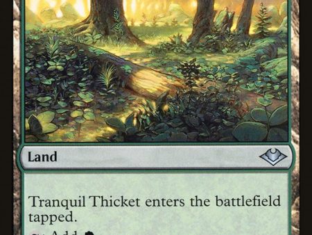 Tranquil Thicket [Modern Horizons] Hot on Sale