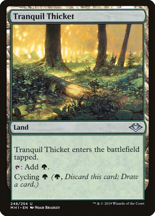 Tranquil Thicket [Modern Horizons] Hot on Sale